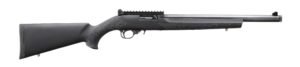RUGER 10/22 CARBINE 22LR BL/HOGUE
