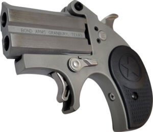 BOND ARMS STUBBY 22LR - 2.2" STAINLESS NYLON