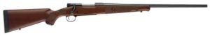 WINCHESTER MODEL 70 22-250 - 22" FEATHERWEIGHT BLUED/WALNUT