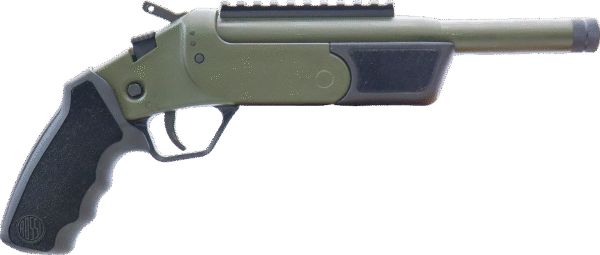 ROSSI BRAWLER 300BLK 9" BL/ODG